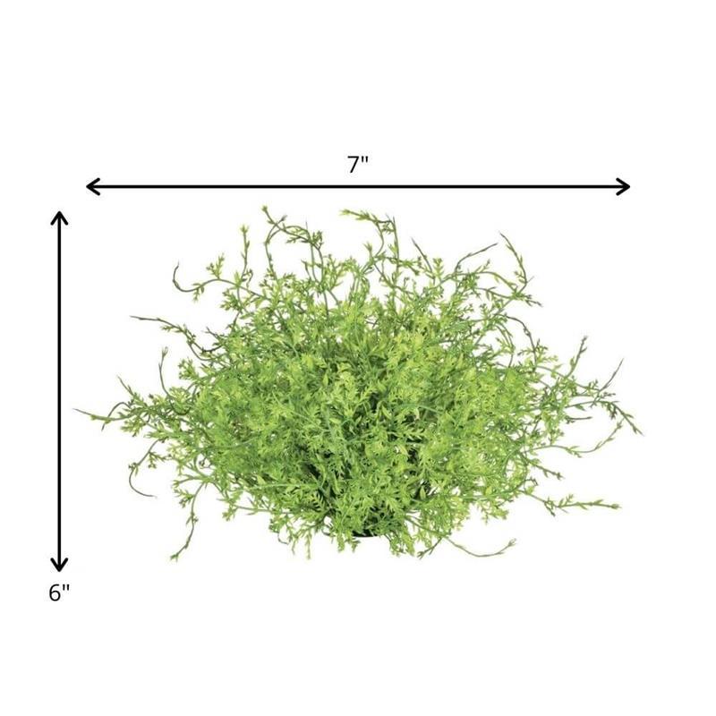 Coral Fern Half Orb