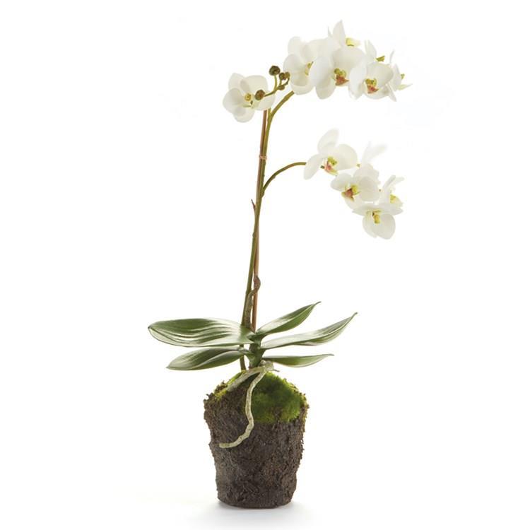 White Orchid 17 Inch Drop In