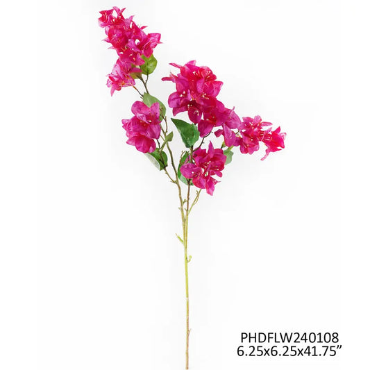 Bougainvillea Bridal Flower ~ Purple