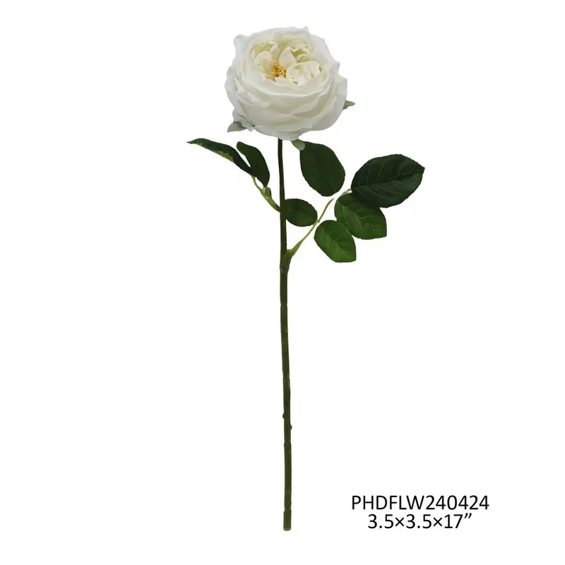 Austin Rose ~ White