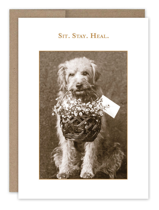 Shannon Martin Get Well Cards