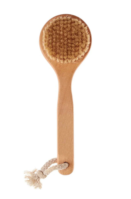 Winners Circle Natural Cactus Bristle Brush